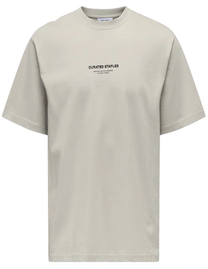 ONLY & SONS ONSCURATED RLX PRINT SS TEE NOOS 22030925