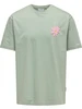 ONLY & SONS ONSFLORA COL PRINT RLX SS TEE 22033752