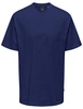 ONLY & SONS ONSFRED RLX SS TEE NOOS 22022532