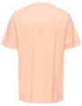 ONLY & SONS ONSFRED RLX SS TEE NOOS 22022532