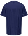 ONLY & SONS ONSFRED RLX SS TEE NOOS 22022532