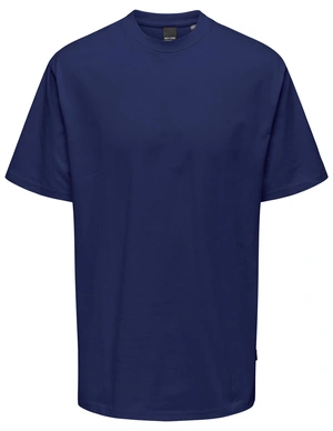 ONLY & SONS ONSFRED RLX SS TEE NOOS 22022532