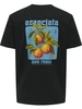 ONLY & SONS ONSITA SS REG TEE 22035503