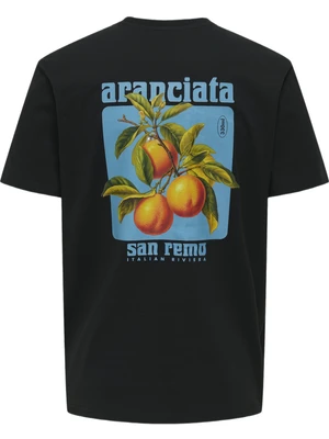 ONLY & SONS ONSITA SS REG TEE 22035503
