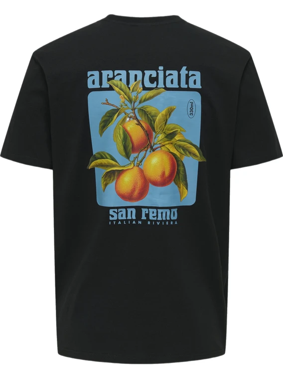 ONLY & SONS ONSITA SS REG TEE 22035503