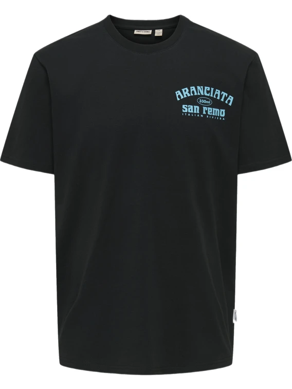 ONLY & SONS ONSITA SS REG TEE 22035503