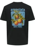 ONLY & SONS ONSITA SS REG TEE 22035503