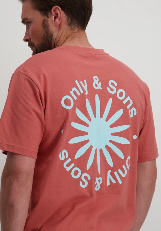 ONLY & SONS ONSKASEN RLX SS TEE 22028751
