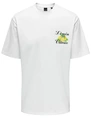 ONLY & SONS ONSKEANE RLX SS PRINT TEE NOOS 22033620