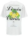 ONLY & SONS ONSKEANE RLX SS PRINT TEE NOOS 22033620