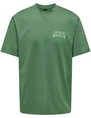 ONLY & SONS ONSKEANE RLX SS PRINT TEE NOOS 22033620
