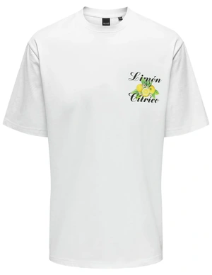 ONLY & SONS ONSKEANE RLX SS PRINT TEE NOOS 22033620