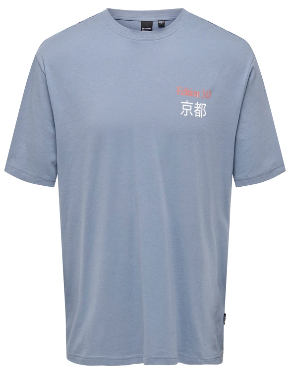 ONLY & SONS ONSKEANE RLX SS PRINT TEE NOOS 22033620