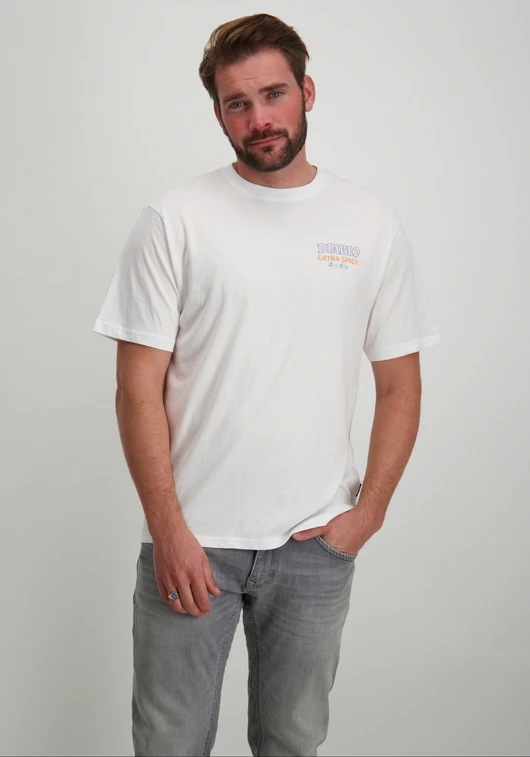 ONLY & SONS ONSKEANE RLX SS PRINT TEE NOOS 22033620
