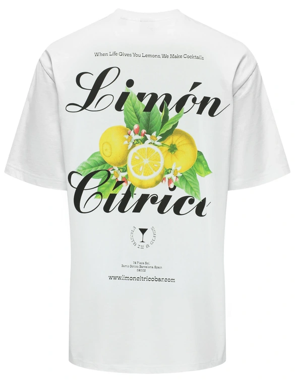 ONLY & SONS ONSKEANE RLX SS PRINT TEE NOOS 22033620