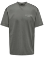ONLY & SONS ONSLES CLASSIQUES RLX PRINT SS TEE 22030601