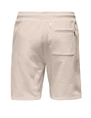 ONLY & SONS ONSLES CLASSIQUES SWEAT SHORTS 22028739