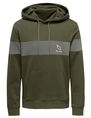 ONLY & SONS ONSLUKE LIFE REG CB HOODIE 22021694