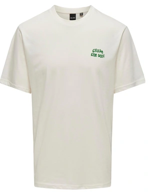 ONLY & SONS ONSMACE LIFE RLX FUNNY SS TEE 22029465