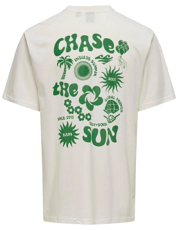 ONLY & SONS ONSMACE LIFE RLX FUNNY SS TEE 22029465