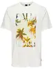 ONLY & SONS ONSMAGDY LIFE REG PHOTOPRINT SS TEE 22029454