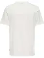 ONLY & SONS ONSMAGDY LIFE REG PHOTOPRINT SS TEE 22029454
