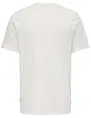 ONLY & SONS ONSMAGDY LIFE REG PHOTOPRINT SS TEE 22029454