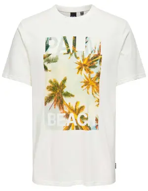 ONLY & SONS ONSMAGDY LIFE REG PHOTOPRINT SS TEE 22029454