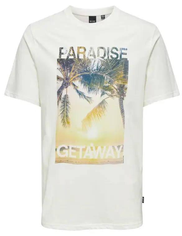 ONLY & SONS ONSMAGDY LIFE REG PHOTOPRINT SS TEE 22029454