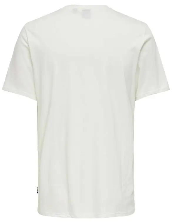 ONLY & SONS ONSMAGDY LIFE REG PHOTOPRINT SS TEE 22029454