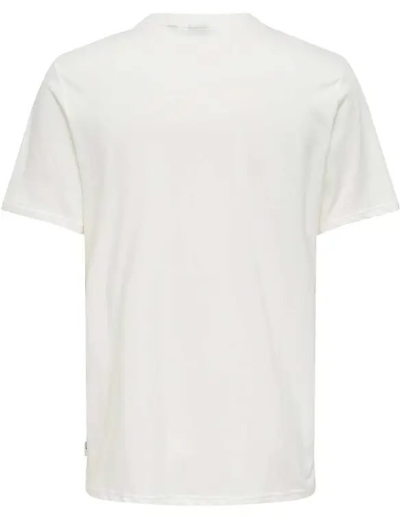 ONLY & SONS ONSMAGDY LIFE REG PHOTOPRINT SS TEE 22029454