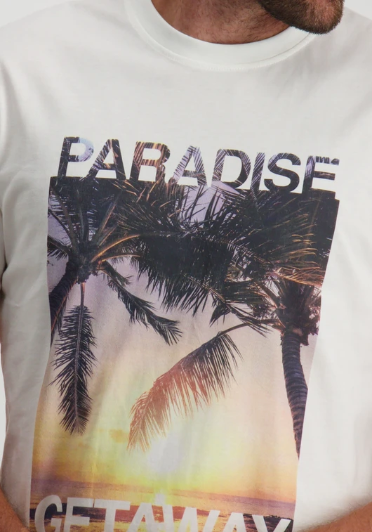 ONLY & SONS ONSMAGDY LIFE REG PHOTOPRINT SS TEE 22029454