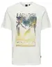 ONLY & SONS ONSMAGDY LIFE REG PHOTOPRINT SS TEE 22029454
