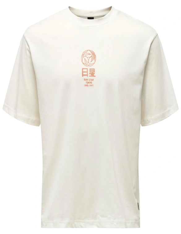 ONLY & SONS ONSMALIK LIFE RLX SS TEE 22029484