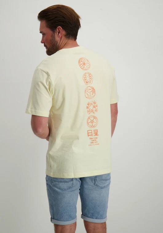 ONLY & SONS ONSMALIK LIFE RLX SS TEE 22029484