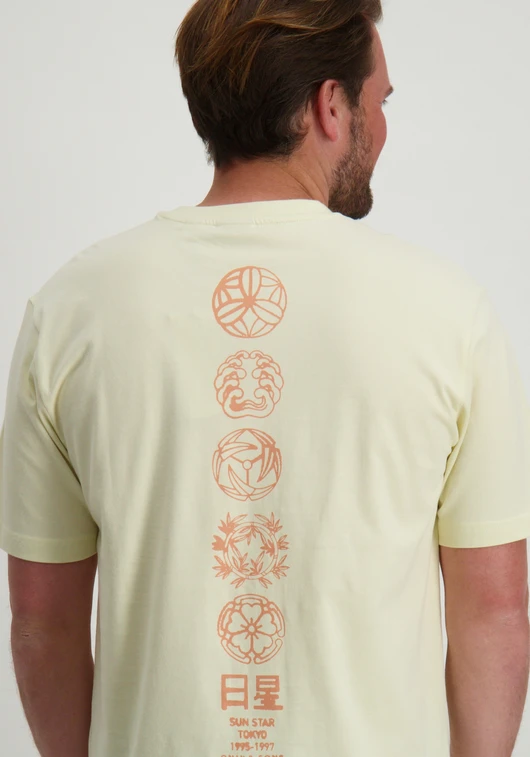 ONLY & SONS ONSMALIK LIFE RLX SS TEE 22029484