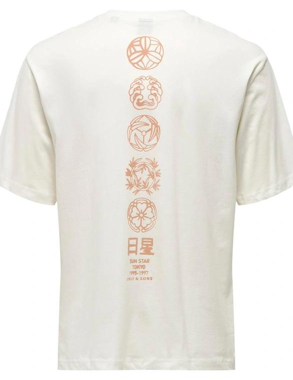 ONLY & SONS ONSMALIK LIFE RLX SS TEE 22029484