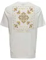 ONLY & SONS ONSMANUEL LIFE REG SS DESERT TEE 22029483