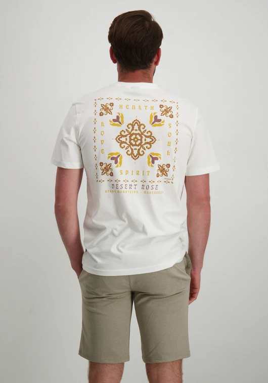 ONLY & SONS ONSMANUEL LIFE REG SS DESERT TEE 22029483