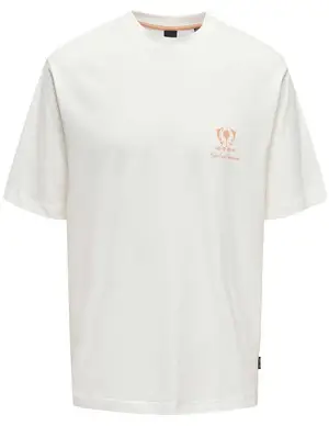 ONLY & SONS ONSMILO RLX COAST SS TEE 22029482