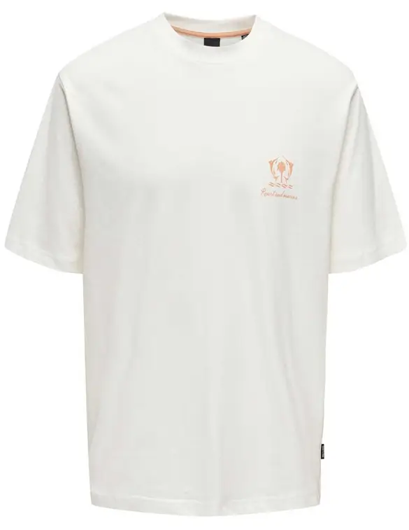 ONLY & SONS ONSMILO RLX COAST SS TEE 22029482