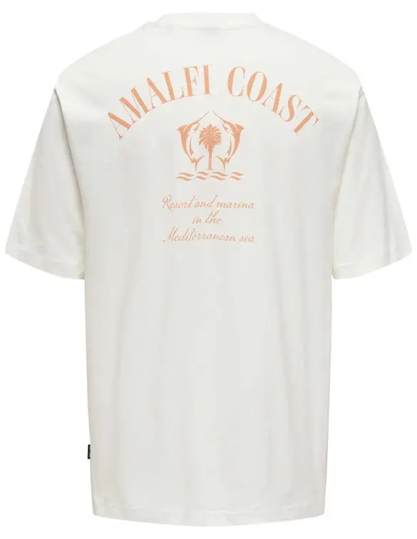 ONLY & SONS ONSMILO RLX COAST SS TEE 22029482