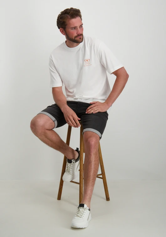 ONLY & SONS ONSMILO RLX COAST SS TEE 22029482