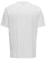 ONLY & SONS ONSMYRON LIFE REG SS DITSY TEE CS 22029480
