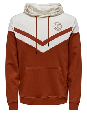 ONLY & SONS ONSNEWWAGNER REG SWEAT HOODIE 22024853