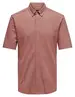 ONLY & SONS ONSTARP SLIM PIQUE BTN DOWN SS SHIR 22026106