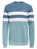 ONLY & SONS ONSTHOR REG LOGO CB CREW 3626 SWT C 22023626