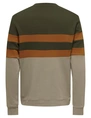 ONLY & SONS ONSTHOR REG LOGO CB CREW 3626 SWT C 22023626