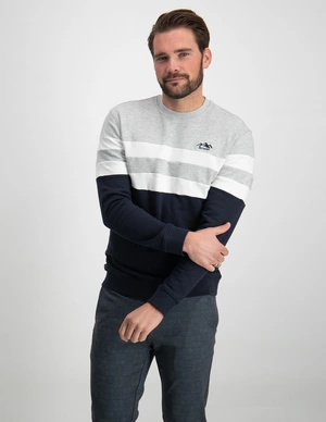 ONLY & SONS ONSTHOR REG LOGO CB CREW 3626 SWT C 22023626