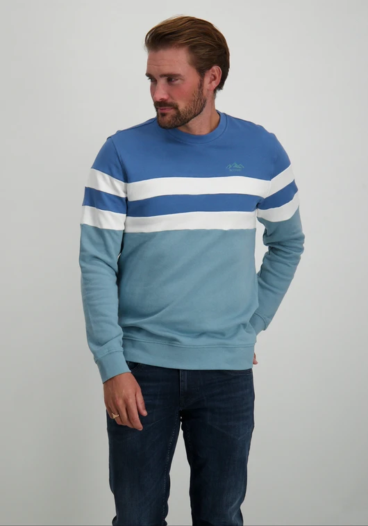 ONLY & SONS ONSTHOR REG LOGO CB CREW 3626 SWT C 22023626